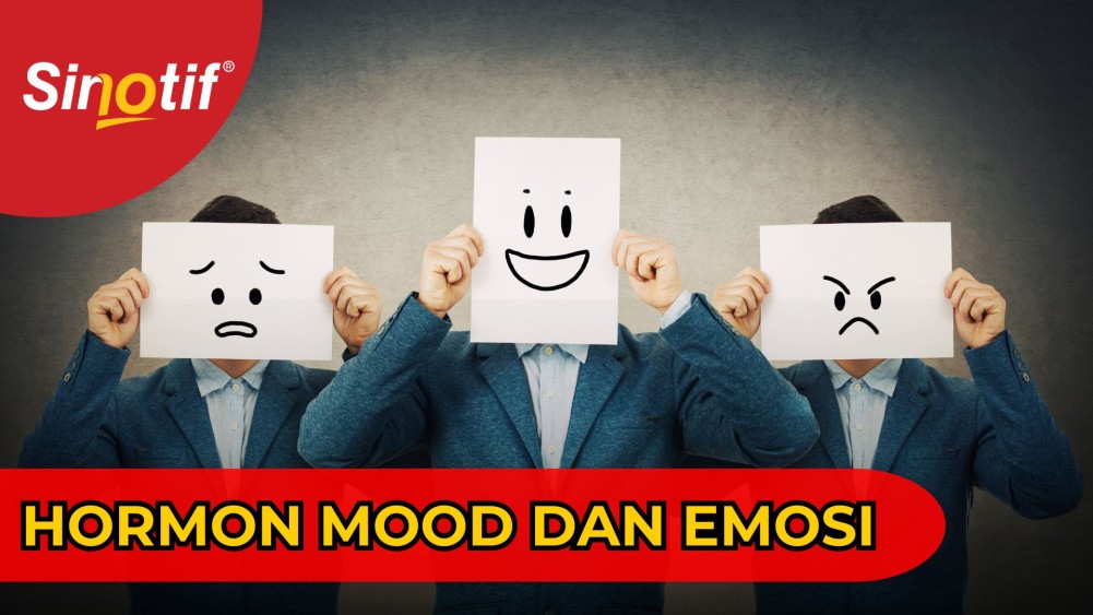 Mengenal Serotonin, Hormon Pengatur Mood dan Emosi