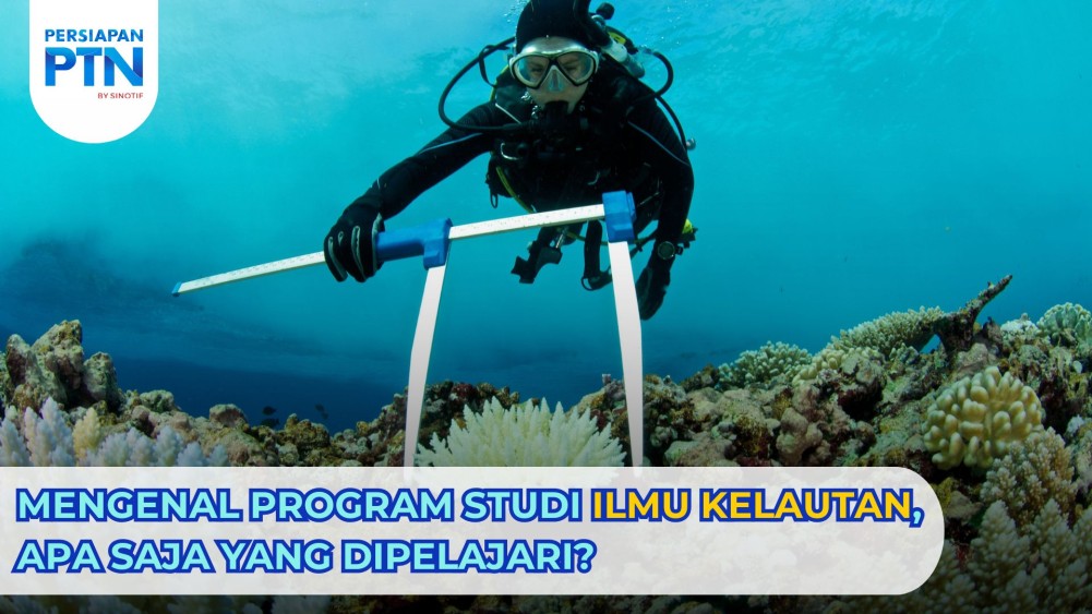 Mengenal Program Studi Ilmu Kelautan, Apa Saja yang Dipelajari? 