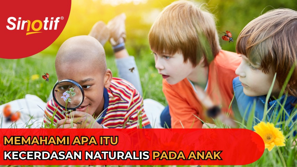 Memahami Apa Itu Kecerdasan Naturalis pada Anak 